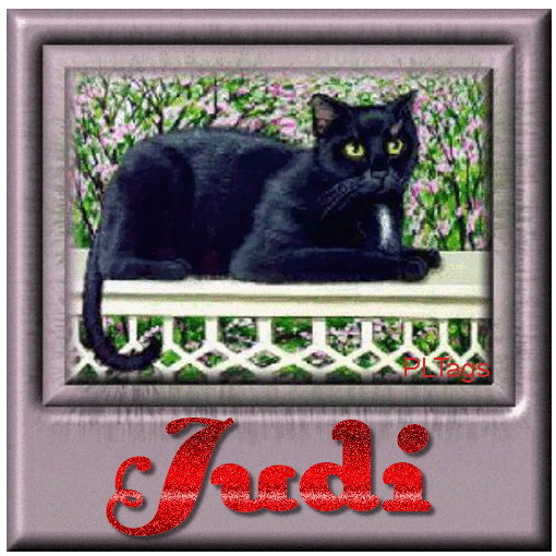 Judi