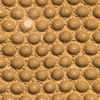 GOLD COLOR