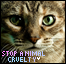 Stop Animal Cruelty.