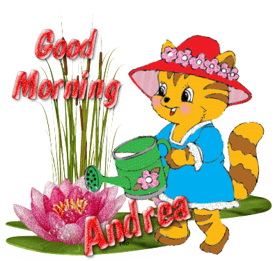 good morning Andrea