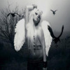 Kerli