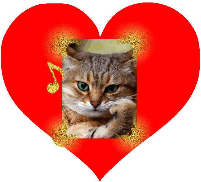 Love Cat music