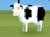 Cows love you!