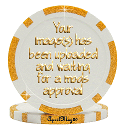 orange image approval poker chip