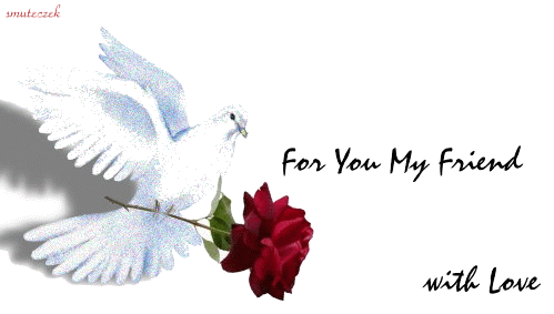 For You My Friend
