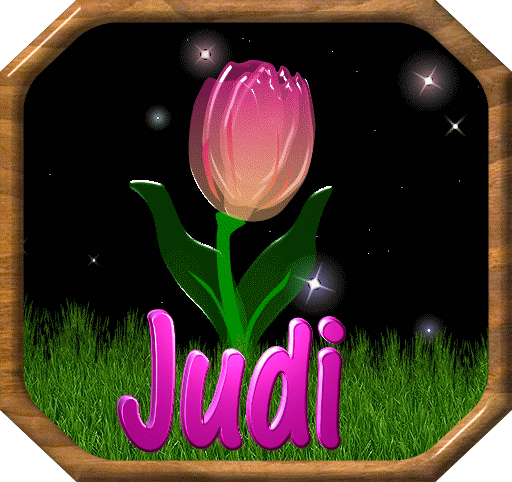 Judi