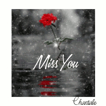 Miss You in rain