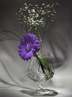 Flower in water