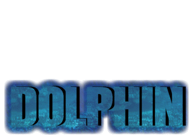 dolphin jump and text