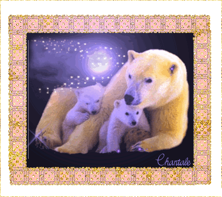 Night Familly Bear