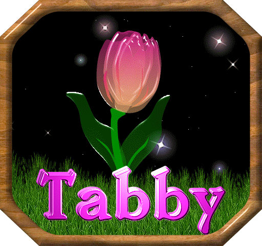 Tabby