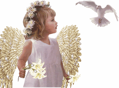 child love angel with dove