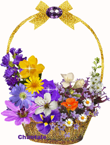 Flowers in Gift
