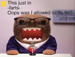 ~ Domo Kun News ~