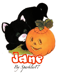 Halloween Kitten - Jane