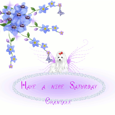 Have a nice saturday