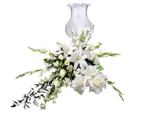 flores blancas y luz