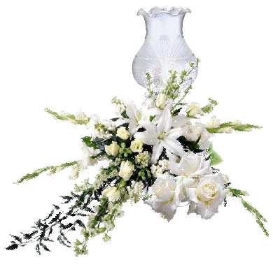flores blancas & luz