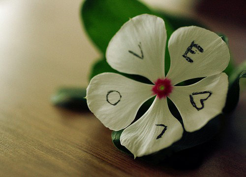 love