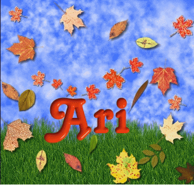 Ari