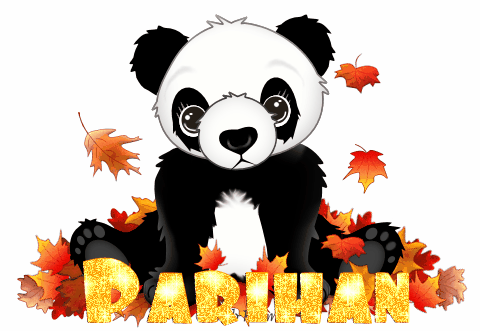 Fall panda bear - Parihan