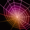 spider and web avatar