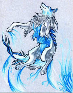 Water playing wolf