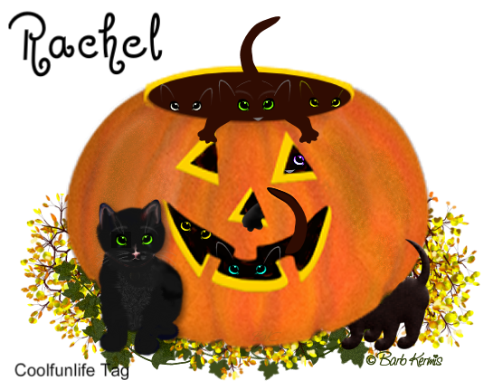 Rachel Pumpkin
