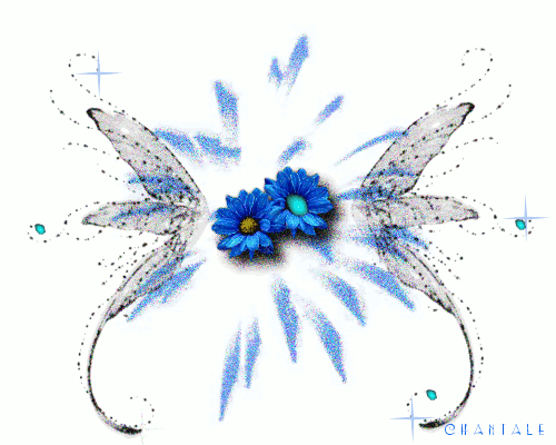 Blue flowers
