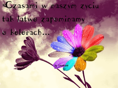 Rain&Rainbow Flower