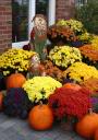 AUTUM FLOWERS