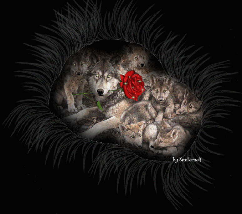 Wolf Team (in Animated GIFs)