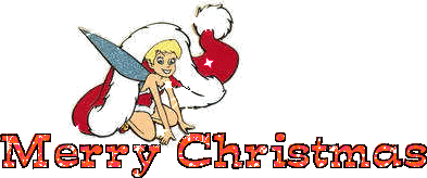 Merry Christmas Tinkerbell