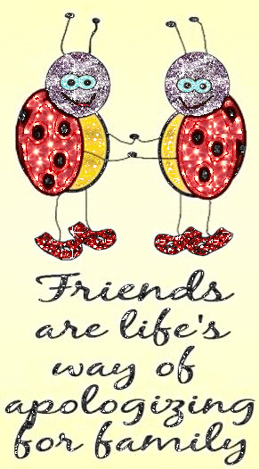 friends are life way of apologizing for family