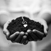 the roots of our love