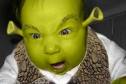 geen baby