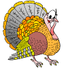turkey avatar