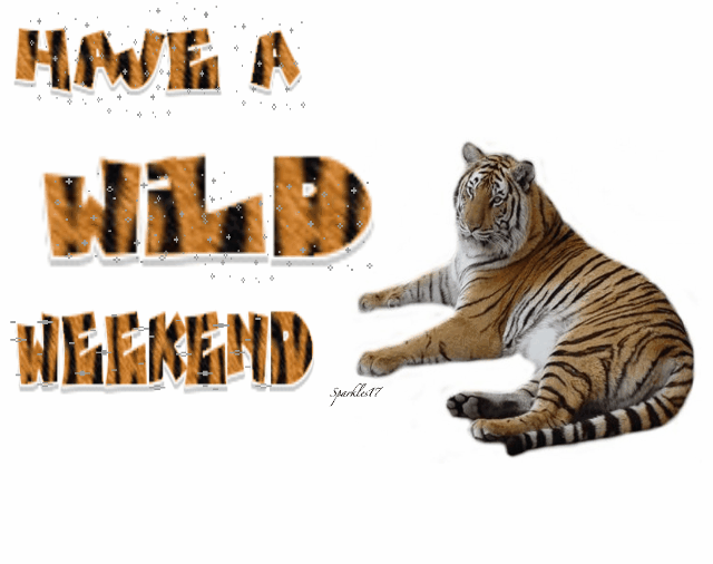 Have a Wild Weekend - Tiger