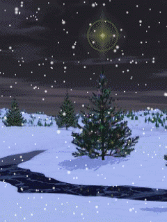 night snow