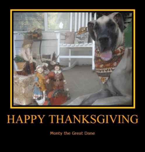 Monty Dane Thanksgiving
