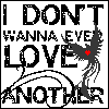 I Don't Wanna Ever Love Another