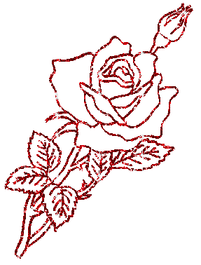 rosa