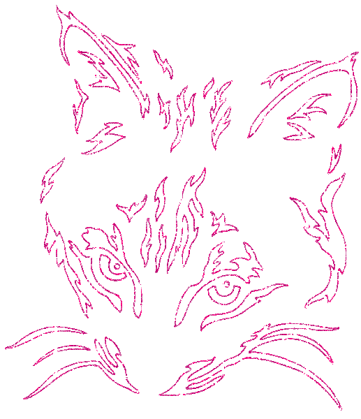 gatto