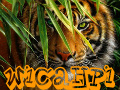 Tiger ~ Wicahpi