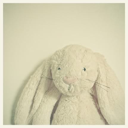bunny