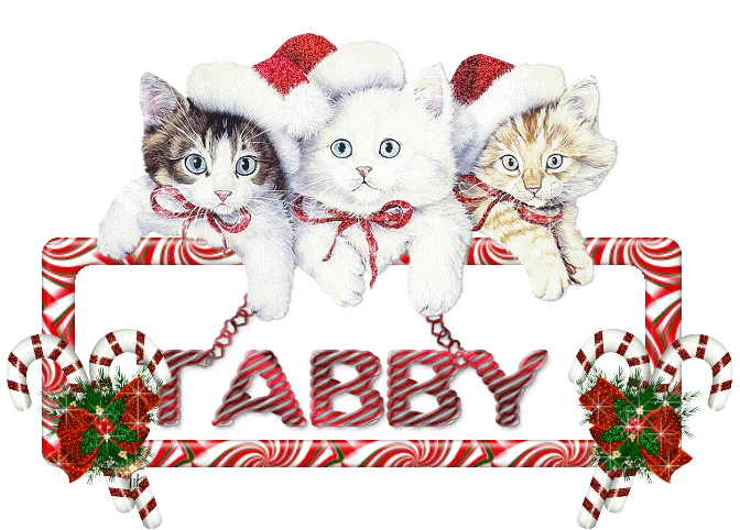 TABBY