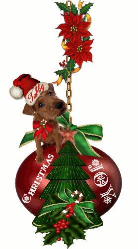 Puppy Christmas Ornament ~ Tabby