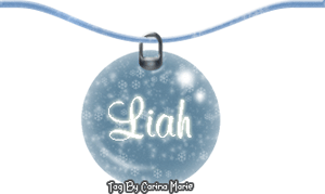 Winter Wonderland Liah 02winterwonderlandbauble