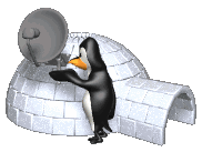 satellite penguin