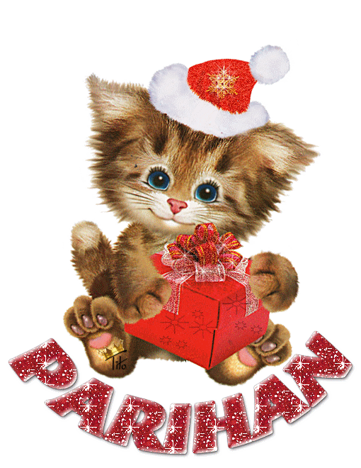 CUTE CHRISTMAS CAT PARIHAN